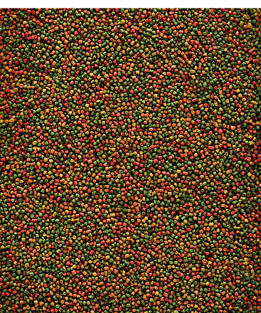 Versele-Laga <br>NutriBird C15 1 kg