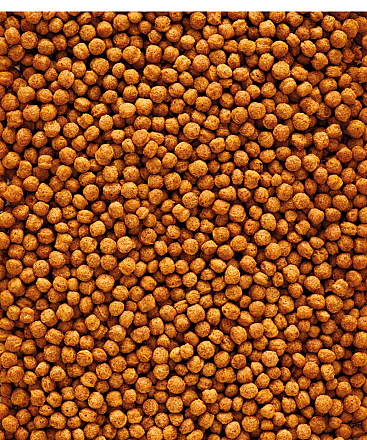 Versele-Laga <br>NutriBird F16 800 gr