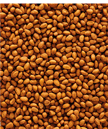 Versele-Laga NutriBird G14 Original Grote Parkiet 1 kg