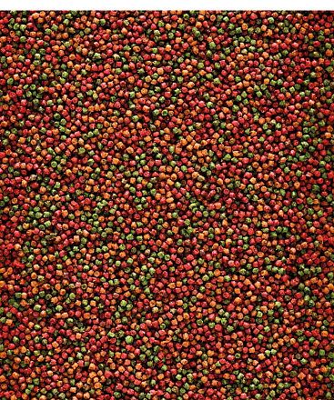 Versele-Laga NutriBird Uni Komplet 250 gr