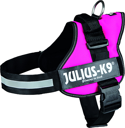 Julius K9 Powerharness fuchsia