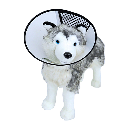 Plastic Beschermkraag