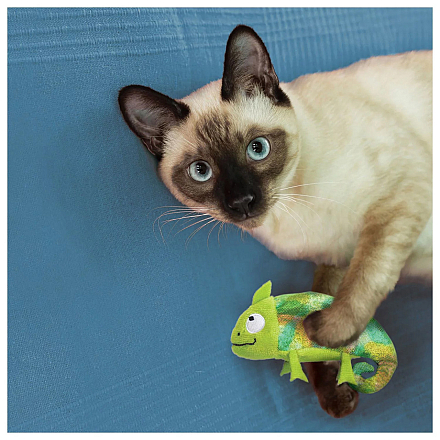 Kong Refillable Chameleon