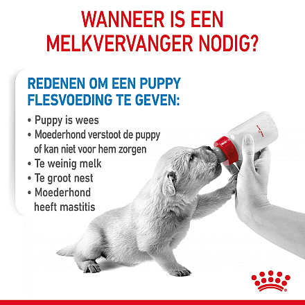 Royal Canin Hondenvoer Babydog Milk 400 gr