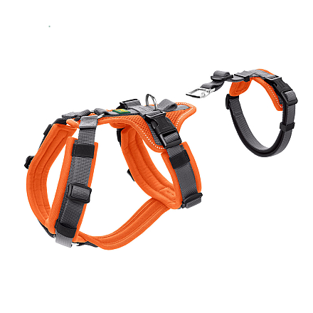 Hunter Hondentuig Safety Maldon Oranje/Grijs