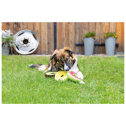 Beeztees Hondenspeelgoed Fruity Donuts Assorti