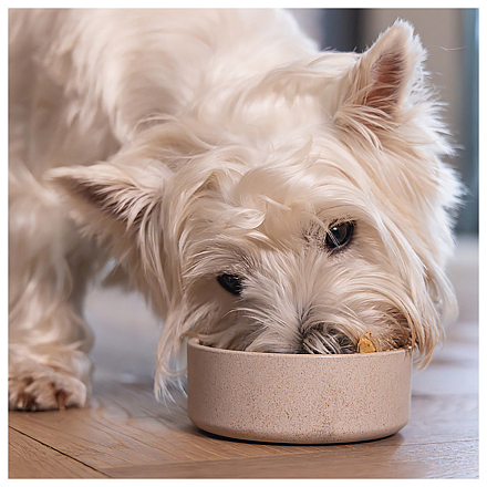 Designed by Lotte Voer- en Drinkbak Noor Bamboo Beige