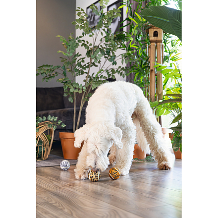 Beeztees Hondenspeelgoed Jungle Tennisballen