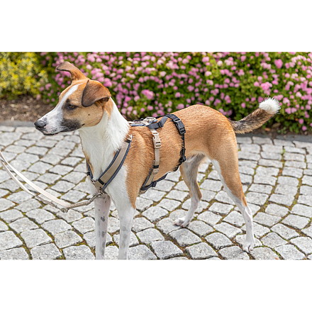 TRIXIE Paniekadapter Stay voor Tuigen Zwart