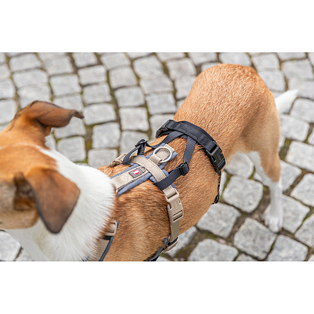 TRIXIE Paniekadapter Stay voor Tuigen Zwart