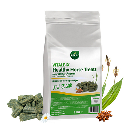Vitalbix Healthy Horse Treats Anijs 1 kg