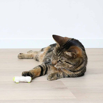 EBI Kattenspeelgoed Buzzing Caterpillar