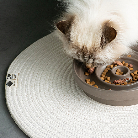 D&D I Love Happy Cats Placemat Jill Beige