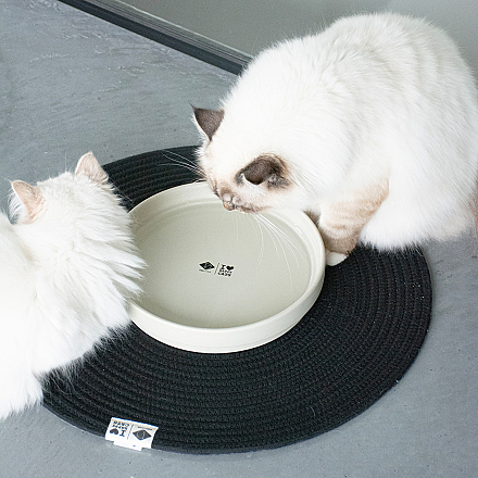 D&D I Love Happy Cats Placemat Jill Zwart