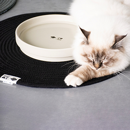 D&D I Love Happy Cats Placemat Jill Zwart