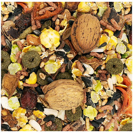 JR Farm Garden Eekhoornfeest 600 gr