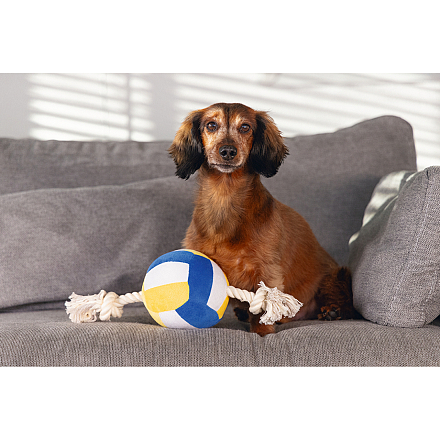 Beeztees Volleybal met Touw