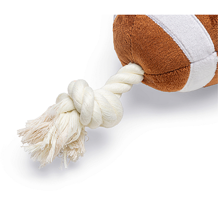 Beeztees Rugbybal met Touw