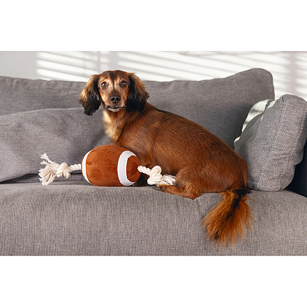 Beeztees Rugbybal met Touw