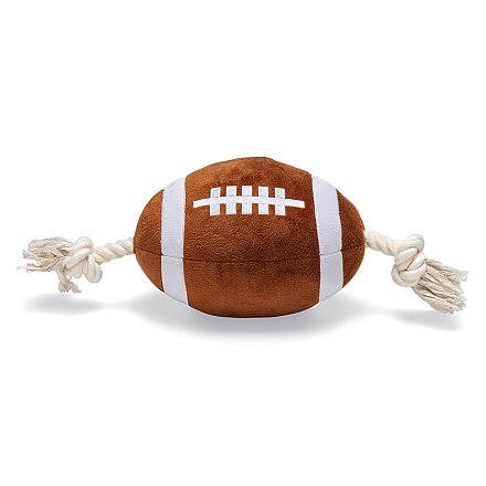 Beeztees Rugbybal met Touw