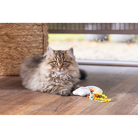 Beeztees Kittenspeelgoed Hide and Seek Iris