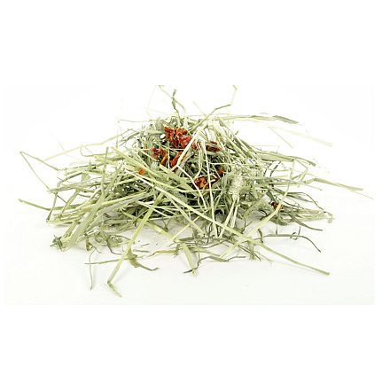 ESVE Timothy Herbal Hay Tomaat & Weegbree 600 gr