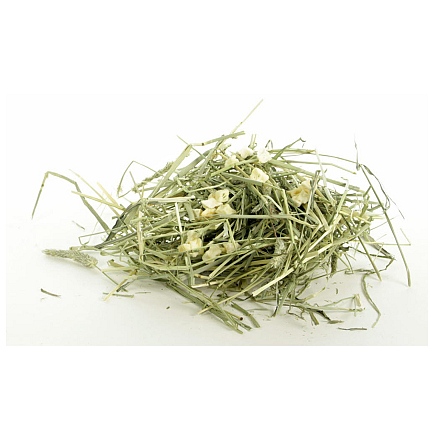 ESVE Timothy Herbal Hay Appel & Peterselie 600 gr