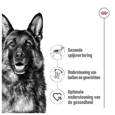 Royal Canin Hondenvoer Maxi Adult Loaf 410 gr