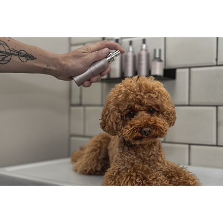 Frenky Lewis Anti-Smell Spray