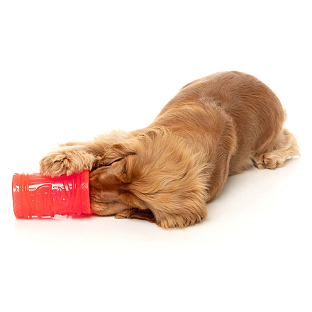 FuzzYard Interactief Kauwspeelgoed Pina Coolada Freeze