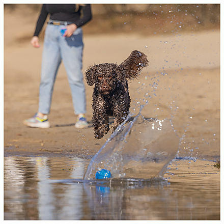 Beeztees Fetch Foam Rugbybal Algo Blauw
