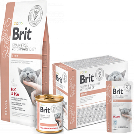Brit GF VD Kattenvoer Renal 2 kg