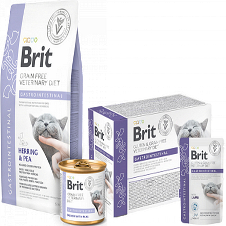 Brit GF VD Kattenvoer Gastrointestinal 5 kg