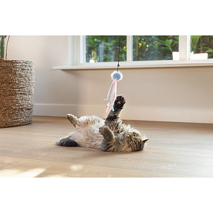 Beeztees Kattenhengel Bal met Lint Assorti