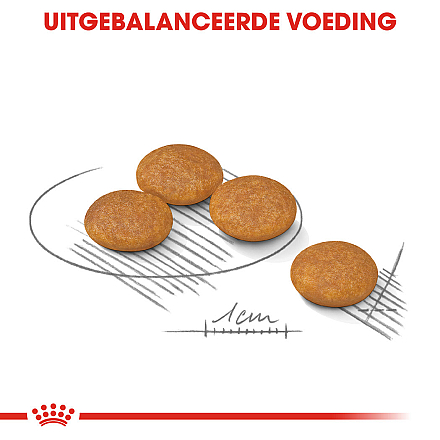 Royal Canin Hondenvoer Derma-comfort Mini 3 kg