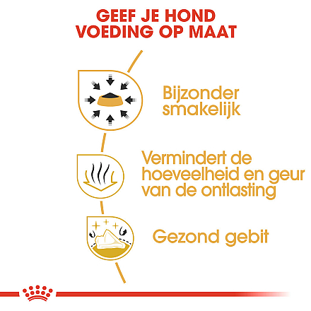 Royal Canin Hondenvoer Chihuahua Adult 1,5 kg