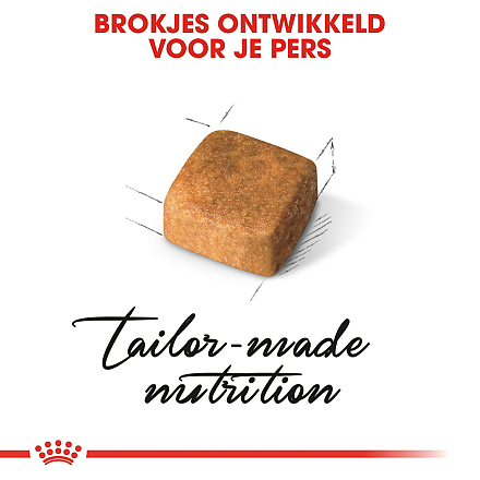 Royal Canin Kattenvoer Persian Kitten 2 kg