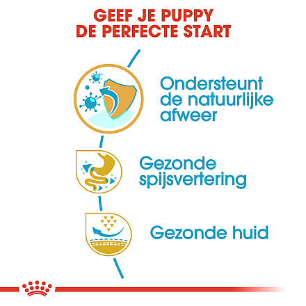Royal Canin Hondenvoer French Bulldog Puppy 3 kg