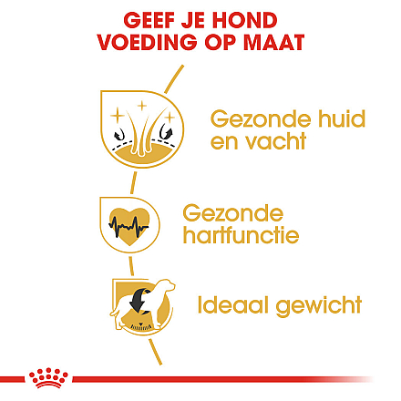 Royal Canin Hondenvoer Golden Retriever Adult 12 kg