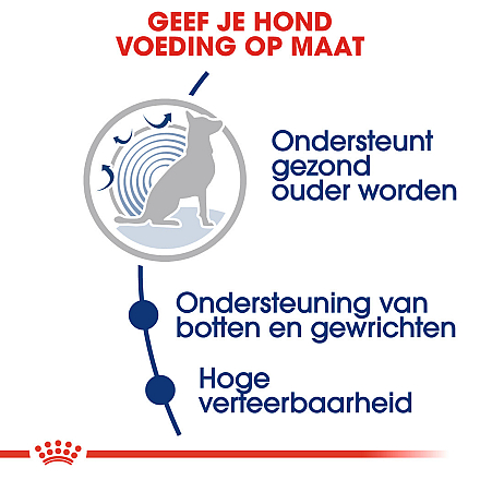 Royal Canin Hondenvoer Maxi Ageing 8+ 3 kg