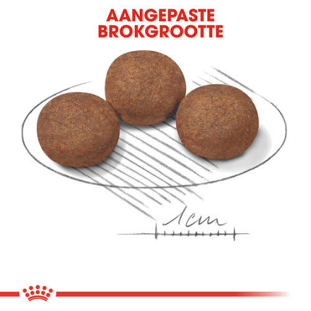 Royal Canin Hondenvoer Medium Puppy 4 kg