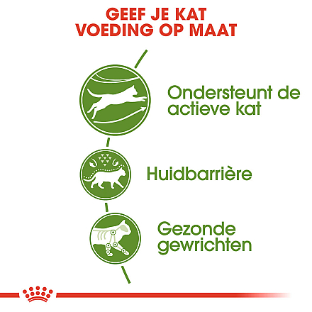 Royal Canin Kattenvoer Outdoor 2 kg