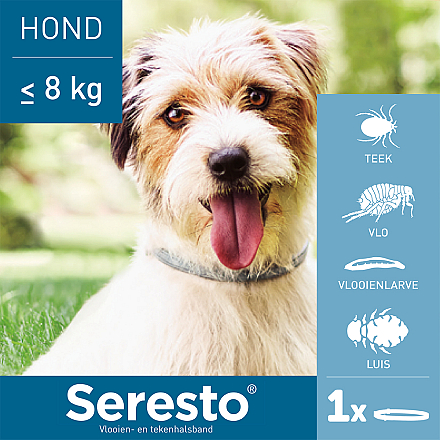 Seresto band voor kleine honden