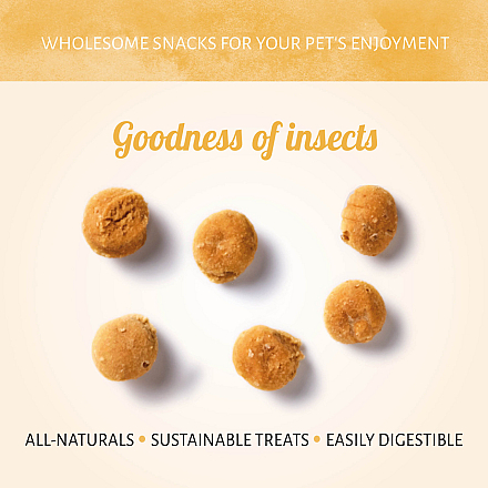 Antos Insecta Zwarte Soldatenvlieg & Appel 100 gr