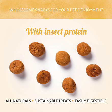 Antos Insecta Zijderups & Wortel 100 gr