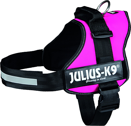 Julius K9 Powerharness fuchsia