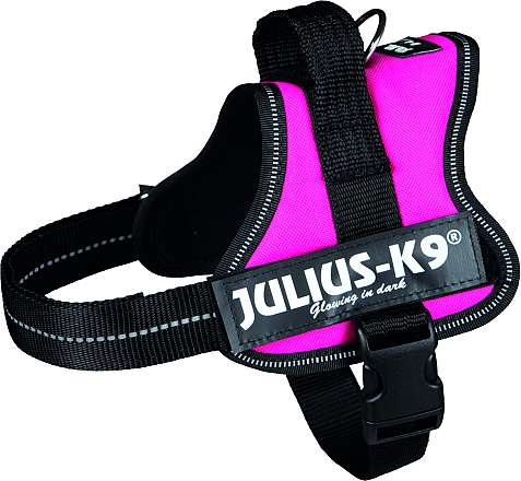 Julius K9 Powerharness fuchsia