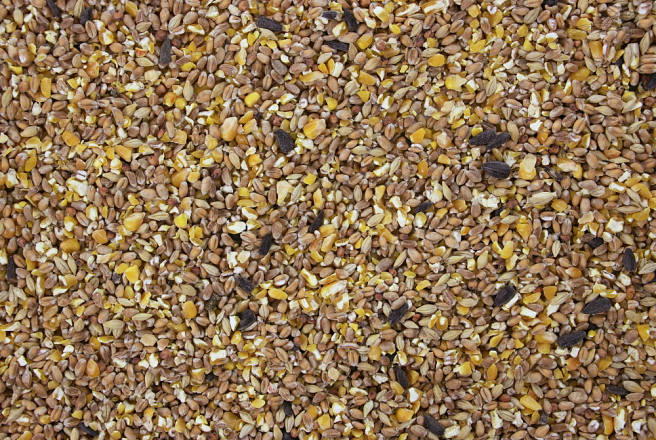 Gemengd Graan G.M.M.Z. 20 kg