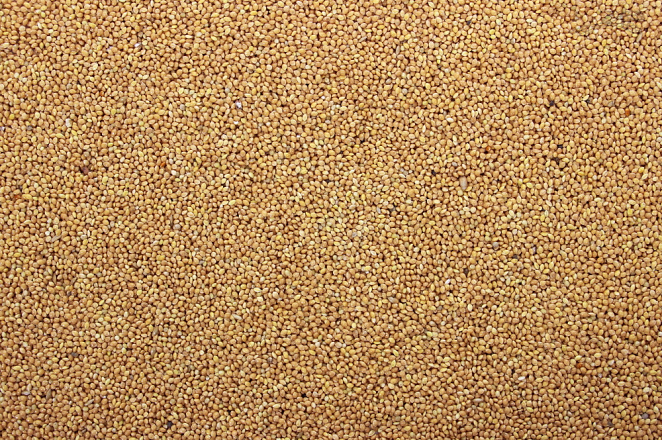 Milletzaad Plata 1 kg