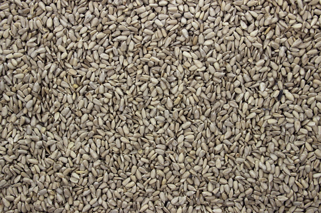 Zonnepitten Gepeld 800 gr